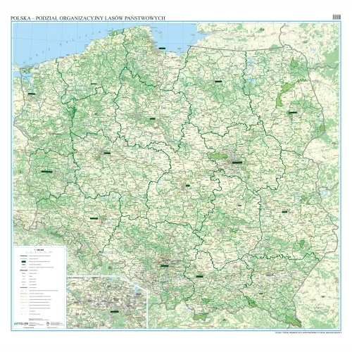 Polska - podział organizacyjny Lasów Państwowych mapa ścienna arkusz laminowany, 1:500 000, ArtGlob