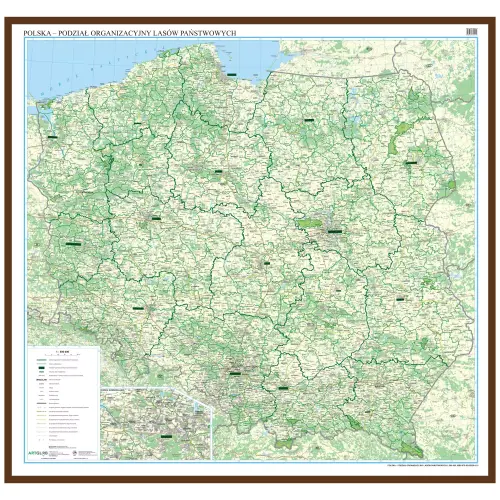Polska - podział organizacyjny Lasów Państwowych mapa ścienna na podkładzie w drewnianej ramie, 1:500 000, ArtGlob