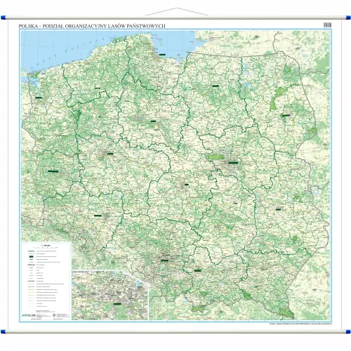 Polska - podział organizacyjny Lasów Państwowych mapa ścienna, 1:500 000, ArtGlob