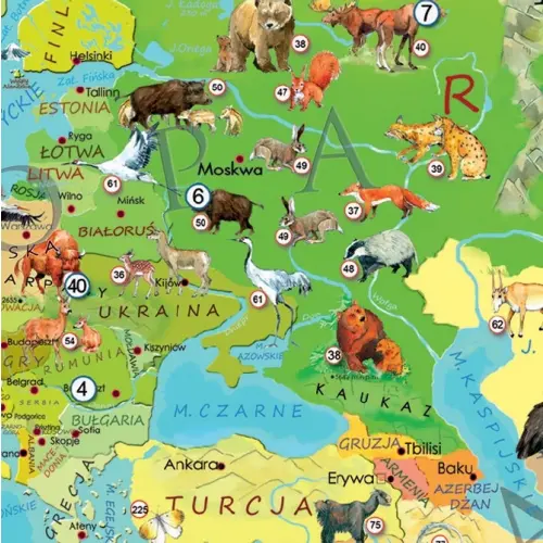 Zwierzęta Świata Młodego Odkrywcy puzzle dla dzieci - 200 elementów