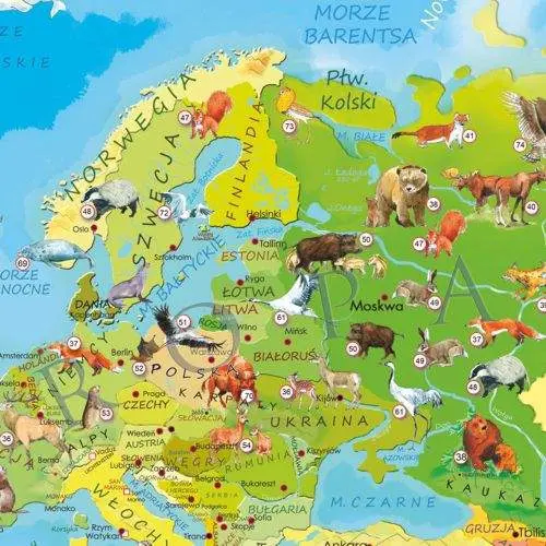 Zwierzęta Świata Młodego Odkrywcy mapa ścienna - naklejka XXL dla dzieci