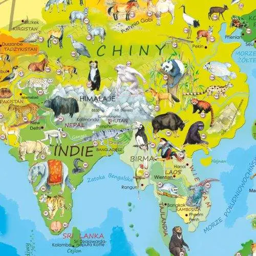 Zwierzęta Świata Młodego Odkrywcy mapa ścienna dla dzieci na podkładzie do wpinania