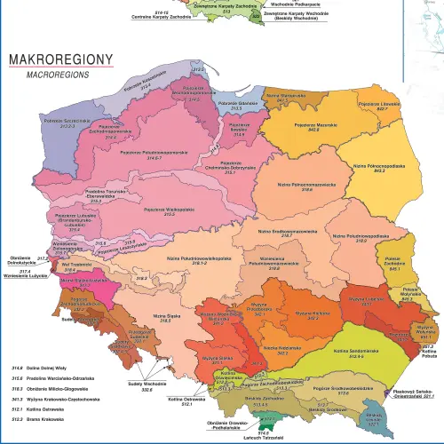 Polska - regiony fizycznogeograficzne mapa ścienna do wpinania, 1:700 000
