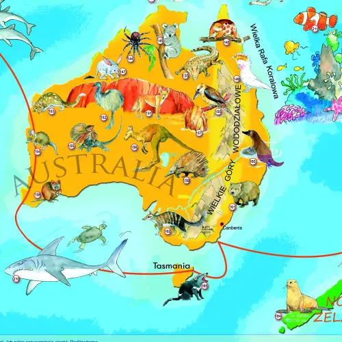 Zwierzęta Świata Młodego Odkrywcy mapa ścienna dla dzieci ArtGlob